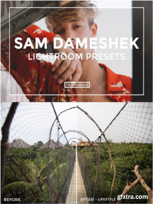 Sam Dameshek Lightroom Presets
