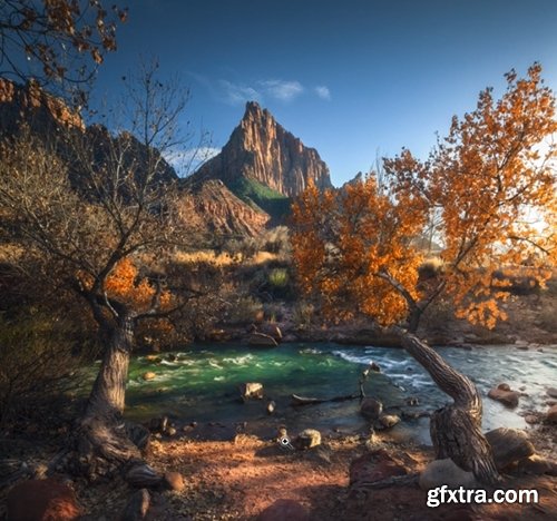 Ben Strauss - Framing the Watchman