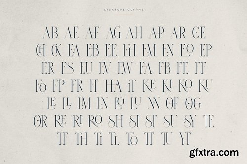 CreativeMarket - Thorn & Tale – A Refined Serif Font
