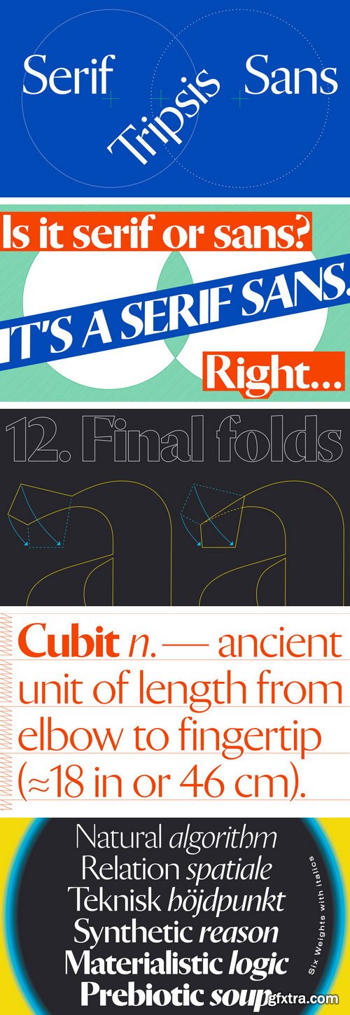 Tripsis Font Family 12xOTF €335 Tripsis Font Family 12xOTF €335