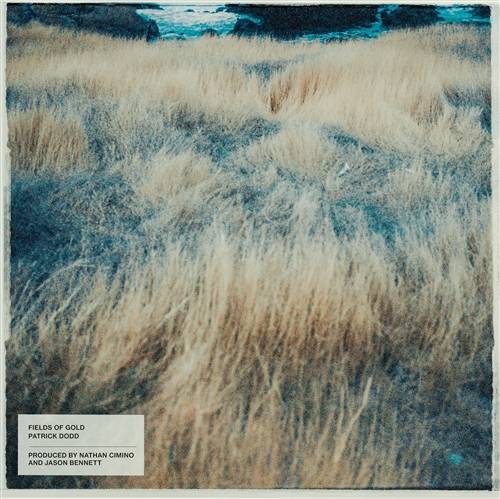 'Audiio - Field of Gold (Instrumental) - Patrick Dodd' 'Audiio - Field of Gold (Instrumental) - Patrick Dodd'