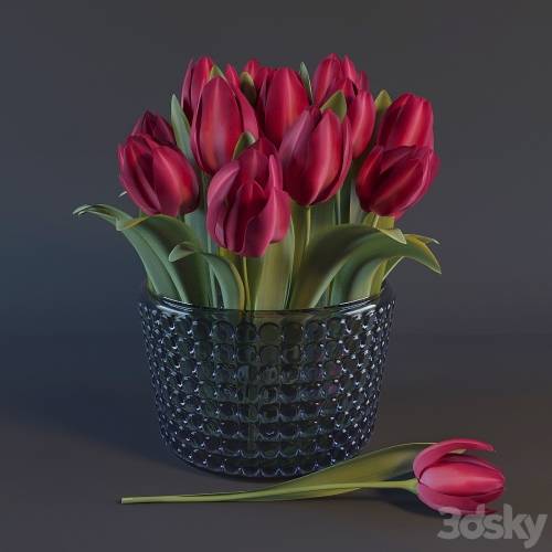 '3dsky Pro - Red Tulips'