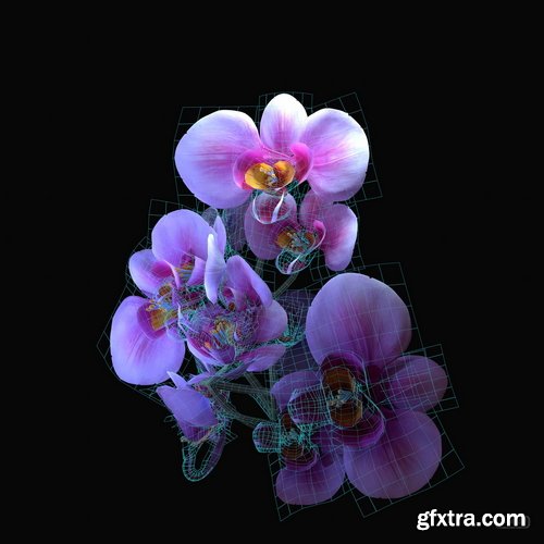 Artstation - Tyler Smith - Orchid Flower Game Prop Creation