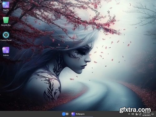 Windows 11 Pro Lite 24H2 Build 26100.4349 Beauty OS