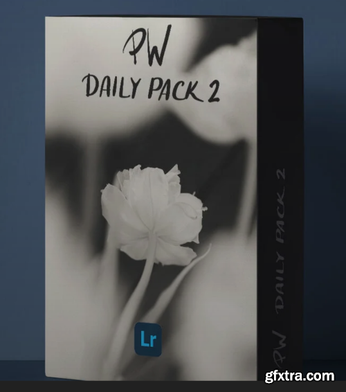 Polina Washington - PW DAILY PACK 2 - Lightroom Presets