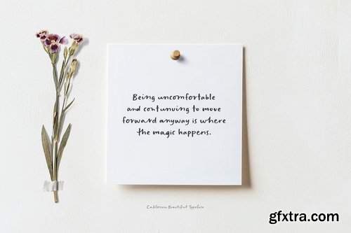 CreativeMarket - California Beautiful Semi-Script