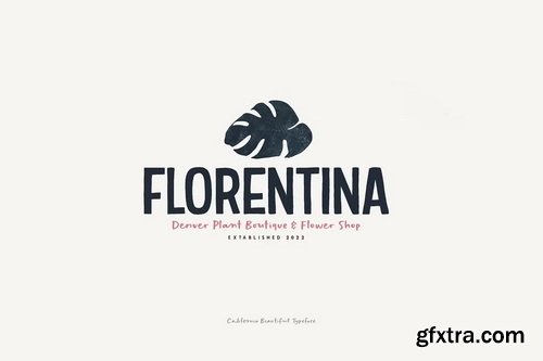 CreativeMarket - California Beautiful Semi-Script