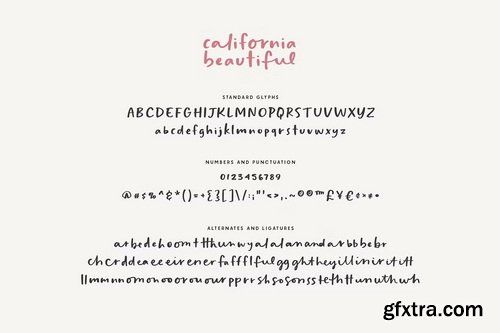 CreativeMarket - California Beautiful Semi-Script