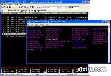 AbsoluteTelnet 13.15