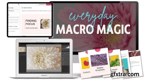 Live Snap Love - Everyday Macro Magic