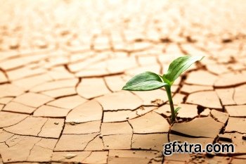 Cracks - Backgrounds and Textures #1, 30xJPG