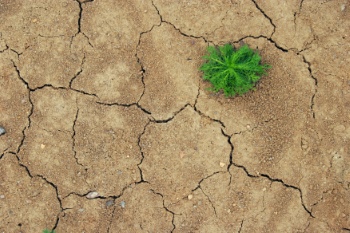 Cracks - Backgrounds and Textures #2, 25xJPG Cracks - Backgrounds and Textures #2, 25xJPG