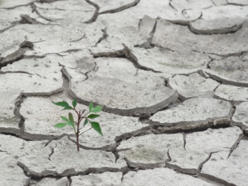 Cracks - Backgrounds and Textures #2, 25xJPG Cracks - Backgrounds and Textures #2, 25xJPG