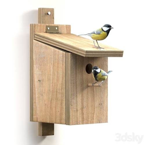 '3dsky Pro - Great Tits at artificial nest'