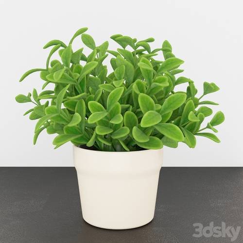 '3dsky Pro - IKEA Fejka'