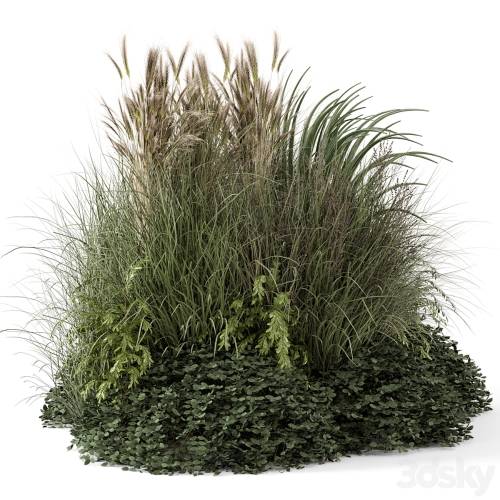 '3dsky Pro - Outdoor Plants Bush-Bush Set 1644'