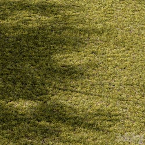 '3dsky Pro - Short Grass Set 29'
