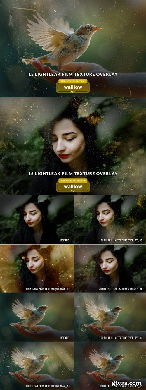 Creativemarket - Light leaks & film texture overlays