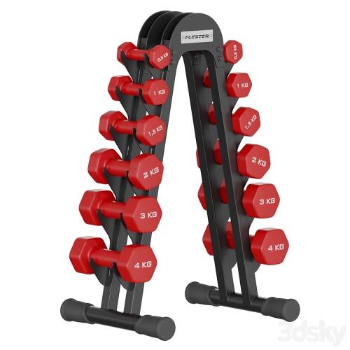 '3dsky Pro - Fitness dumbbell rack for 6 pairs FLEXTER' '3dsky Pro - Fitness dumbbell rack for 6 pairs FLEXTER'