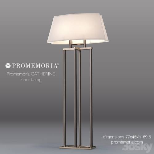 '3dsky Pro - Promemoria Catherine'