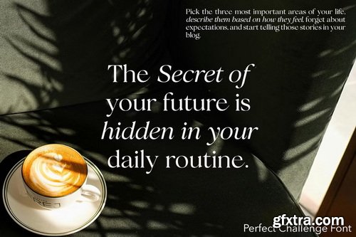 CreativeMarket - Perfect Challenge Serif Family