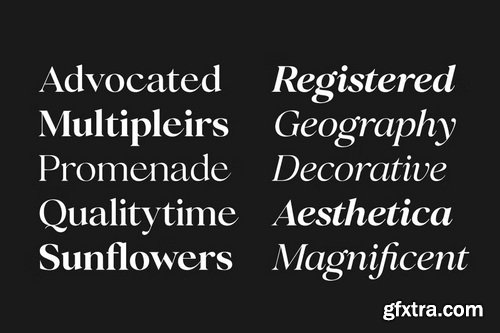 CreativeMarket - Perfect Challenge Serif Family
