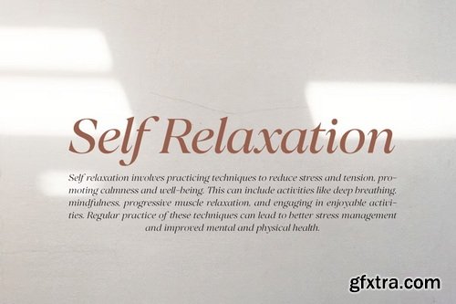 CreativeMarket - Perfect Challenge Serif Family