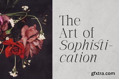 CreativeMarket - The Letter Editorial – Modern Serif