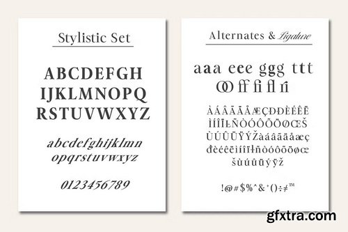 CreativeMarket - The MOON – Modern & Classic Serif