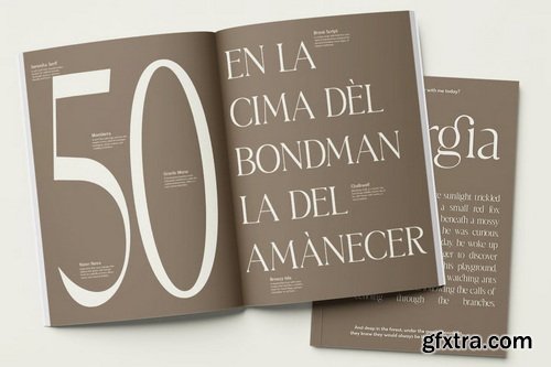 Georgia Classy Serif Font