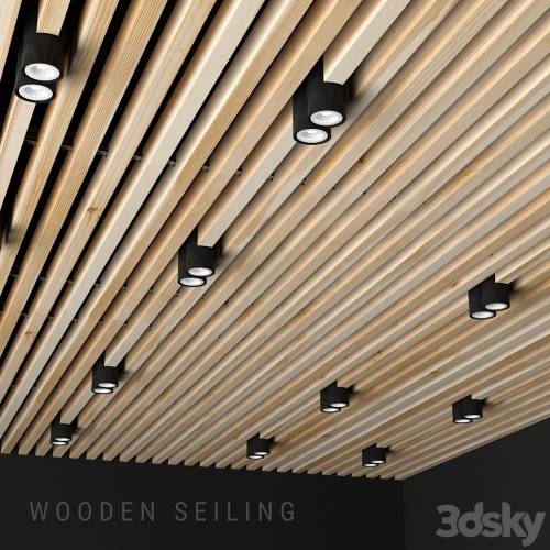 '3dsky Pro - Wooden seiling'