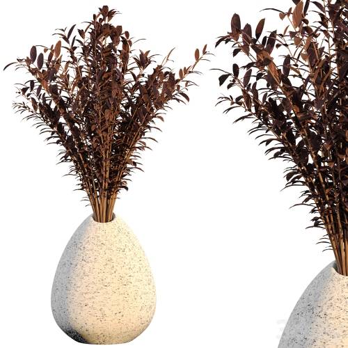 '3dsky Pro - Dry flower 008'