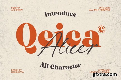 CreativeMarket - Qeica - Font Duo Typefac