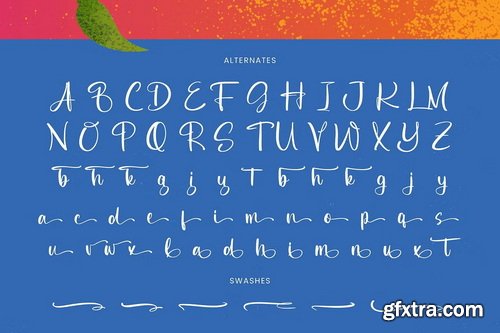 CreativeMarket - Delights Fruity Bold Brush Font