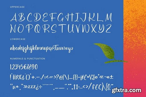 CreativeMarket - Delights Fruity Bold Brush Font