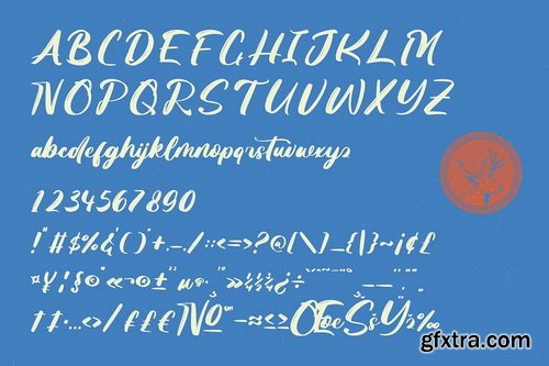 CreativeMarket - Skanika Bold Handwritten Font