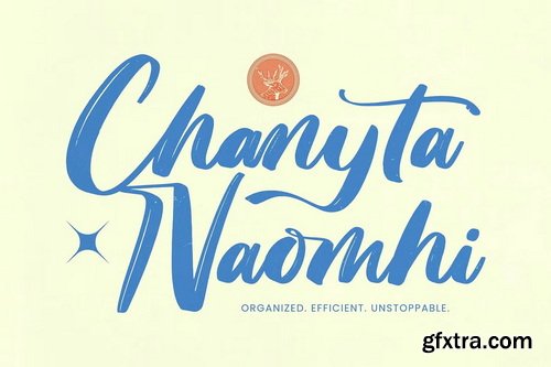 CreativeMarket - Skanika Bold Handwritten Font