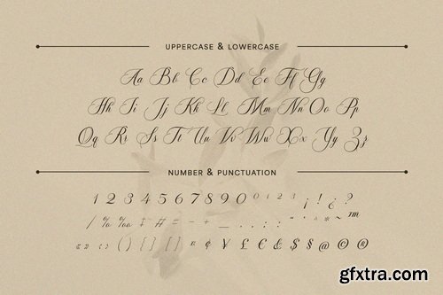 Soralize A Modern Calligraphy Font