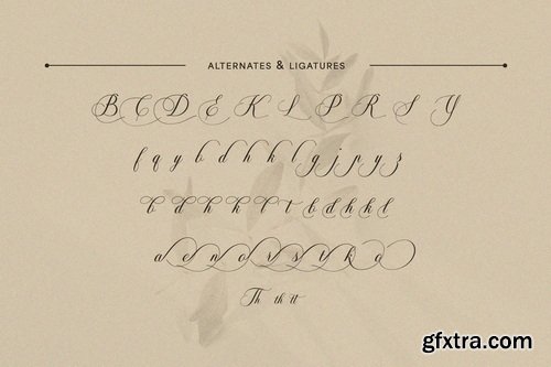 Soralize A Modern Calligraphy Font