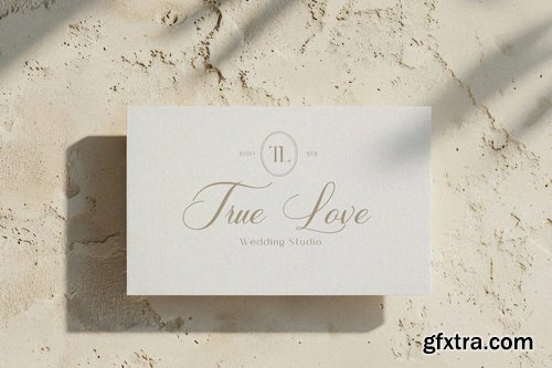 Soralize A Modern Calligraphy Font