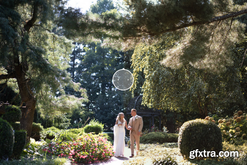 DVLOP - Cerebral by Susan Stripling