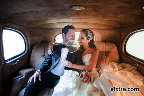 DVLOP - Cerebral by Susan Stripling