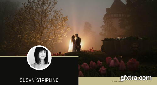 DVLOP - Cerebral by Susan Stripling