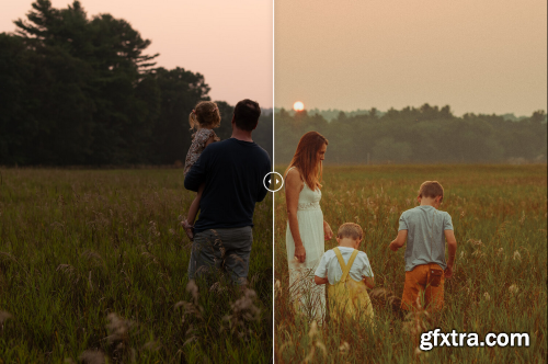 Root and bud - THE ROOTS PACK