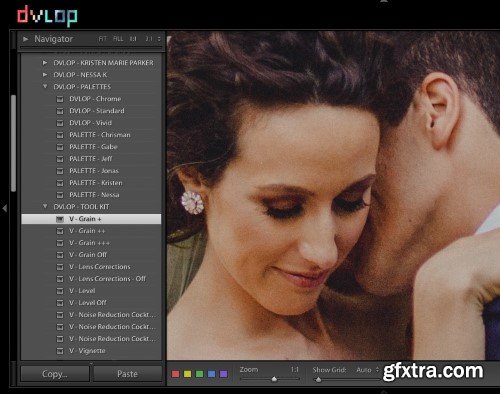 DVLOP Profile Updates for LRC and ACR - June 2025