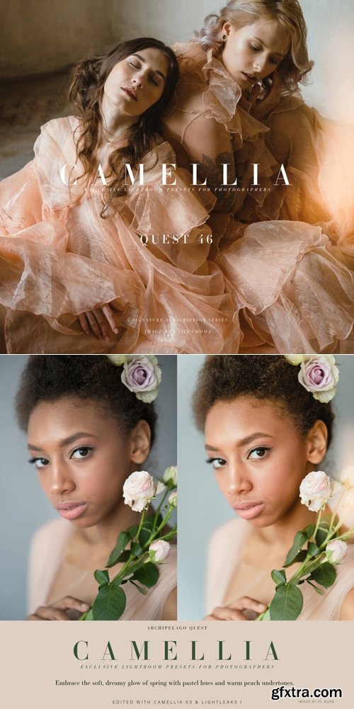 Archipelago Quest - Quest 46 CAMELLIA