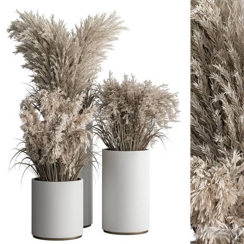 '3dsky Pro - indoor Plant Set 406 - Dried Plant Set in Pot'