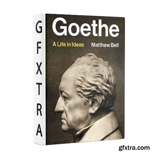 Goethe: A Life in Ideas