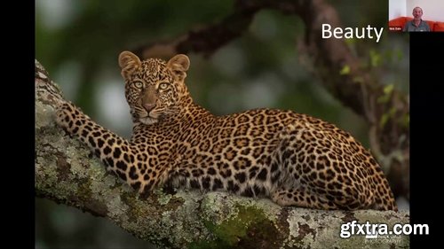 Nature Photographers Network - Nick Dale - How to Stand Out From the Herd