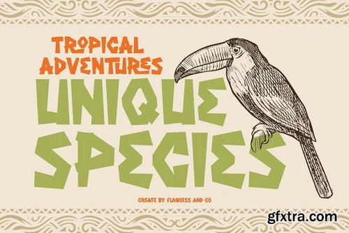 CreativeMarket - Gheomera Display Font